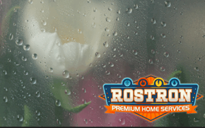 HUMIDITY: What does it really mean?