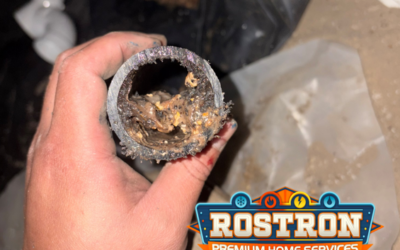 It’s a Trap: A Guide to Clogged Drainage