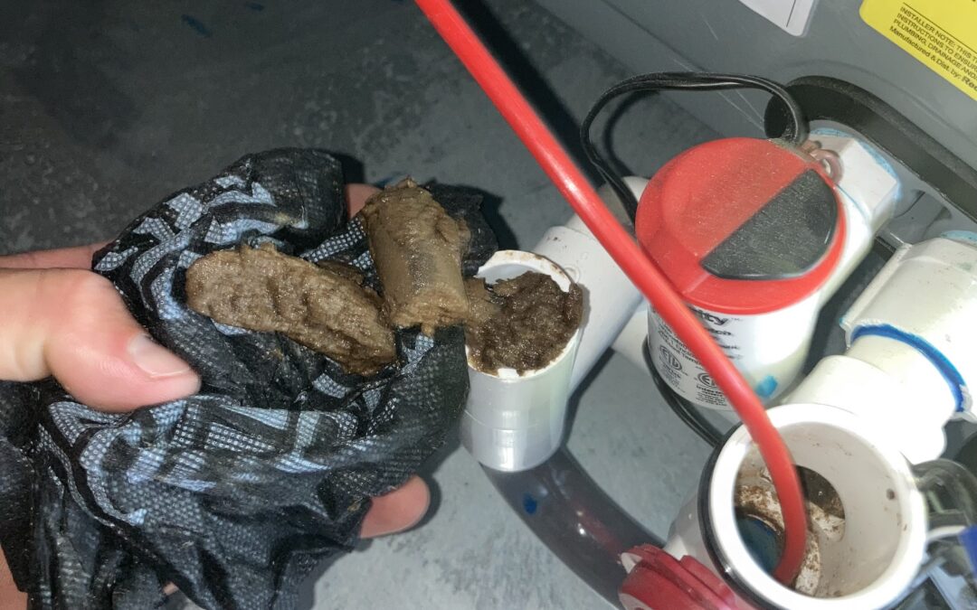 Summer Is Almost Over: Why Your AC Drain Line Is Clogged